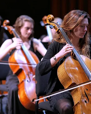 Beethoven Los Angeles