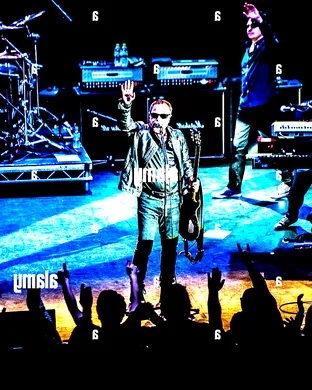 Blue Oyster Cult Anaheim