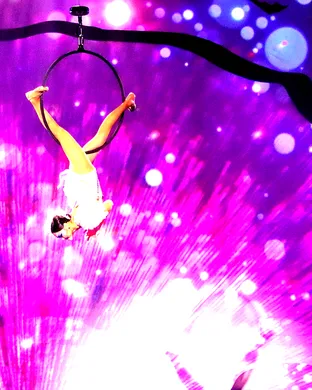 Cirque Musica Holiday Wonderland Los Angeles