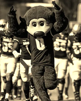 Colorado Buffaloes Atlanta