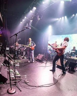 Cubensis Laguna Beach
