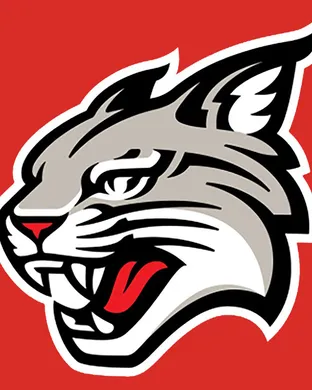 Davidson Wildcats Davidson