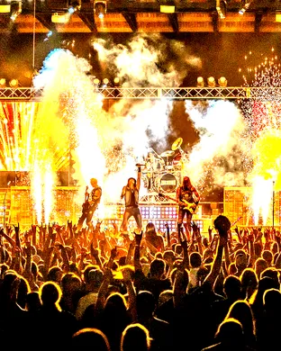 Hairball Cerritos