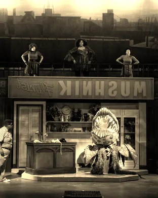 Little Shop Of Horrors La Mirada
