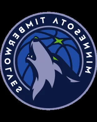 Minnesota Timberwolves Minneapolis
