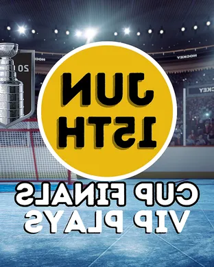 Nhl Stanley Cup Finals Anaheim