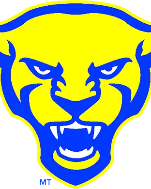 Pittsburgh Panthers Football Pittsburgh