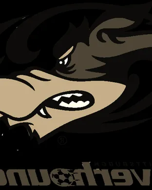 Pittsburgh Riverhounds Sc Irvine