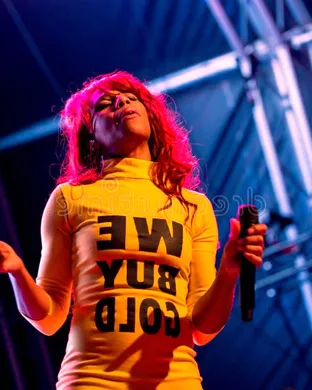 Santigold Pomona