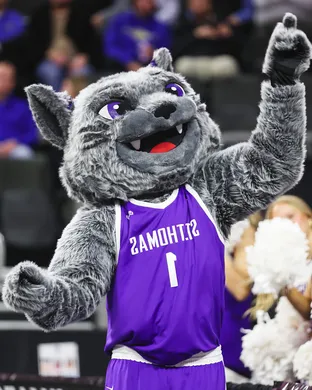 St Thomas University Tommies Saint Paul
