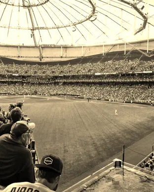 Tampa Bay Rays St Petersburg