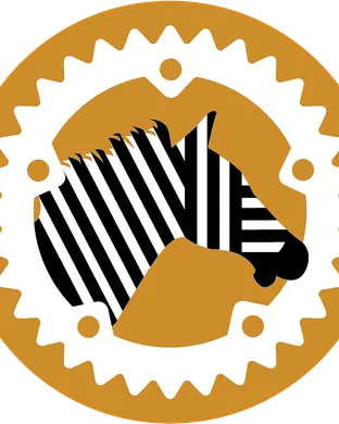 Zebra Los Angeles
