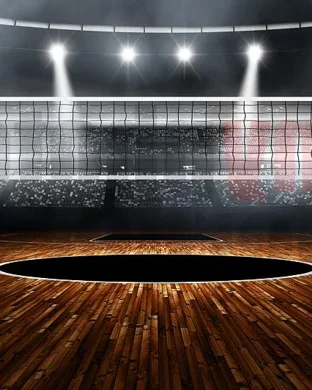 Kentucky Wildcats Women's Volleyball Lexington