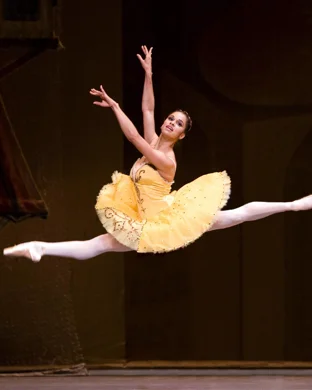 Festival Ballet Theatre Irvine